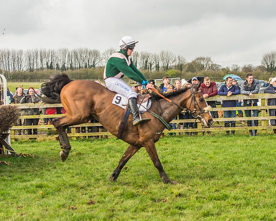 Race 2 - Mares and Fillies Maiden-90