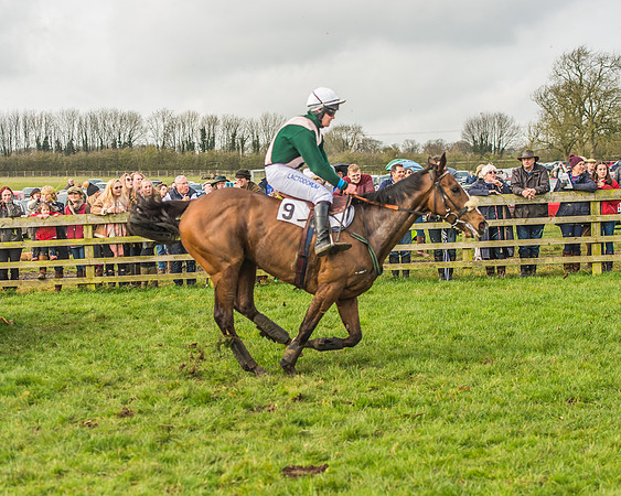 Race 2 - Mares and Fillies Maiden-91