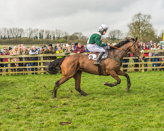 Race 2 - Mares and Fillies Maiden-92