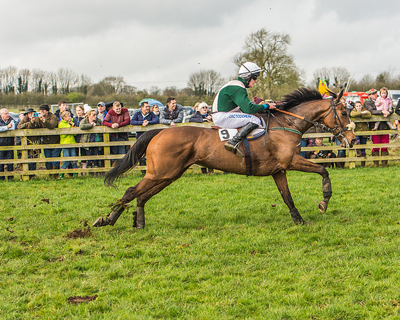 Race 2 - Mares and Fillies Maiden-93