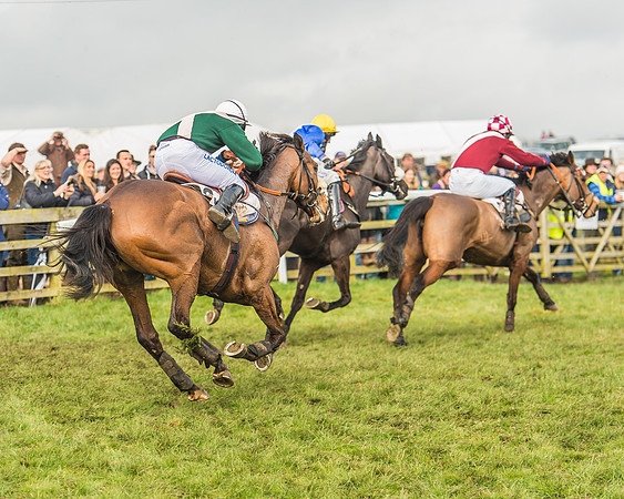 Race 2 - Mares and Fillies Maiden-94