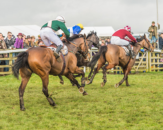 Race 2 - Mares and Fillies Maiden-95