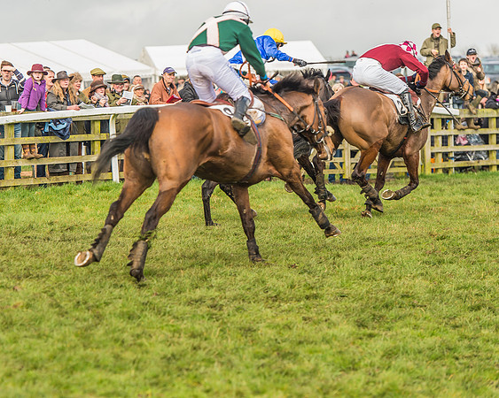 Race 2 - Mares and Fillies Maiden-96