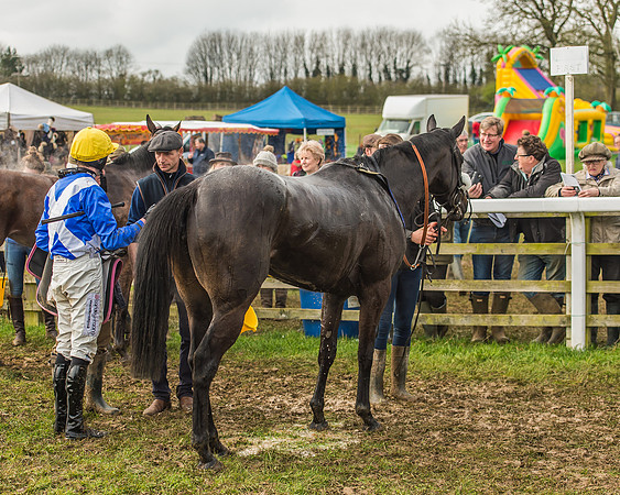Race 2 - Mares and Fillies Maiden-104