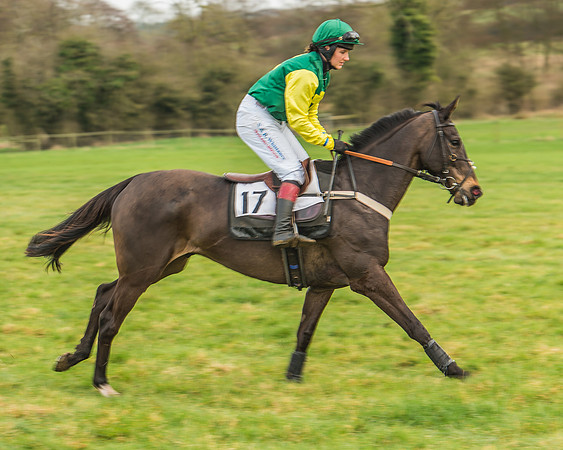 Race 3 - Open Maiden-2