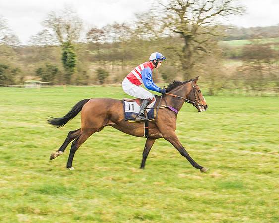 Race 3 - Open Maiden-10