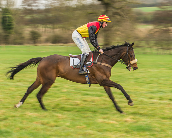 Race 3 - Open Maiden-13