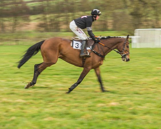 Race 3 - Open Maiden-17