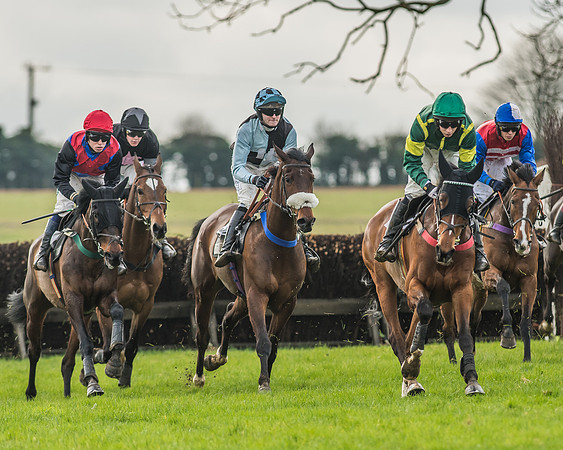 Race 3 - Open Maiden-31
