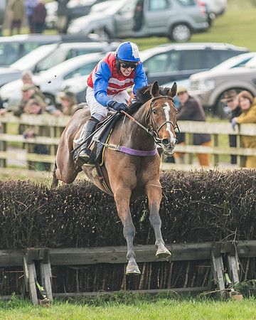 Race 3 - Open Maiden-78