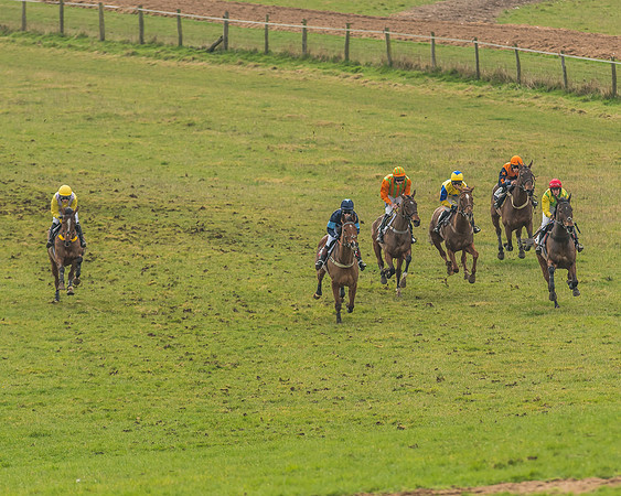 Race 4 - Mixed Open-8