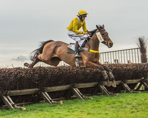 Race 5 - Novice Riders-32