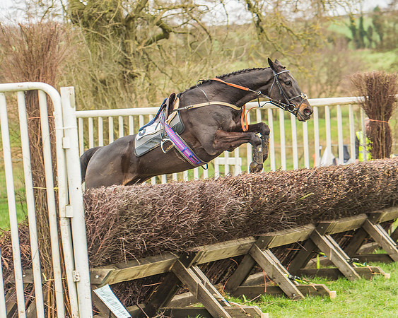 Race 5 - Novice Riders-77