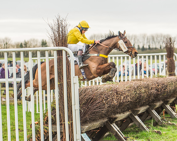 Race 5 - Novice Riders-86
