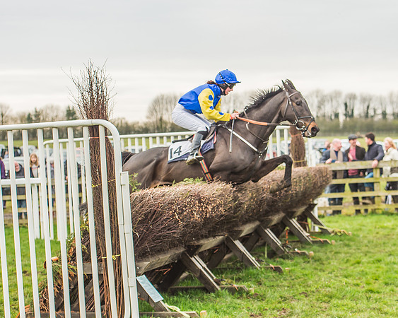 Race 5 - Novice Riders-95