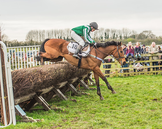 Race 5 - Novice Riders-100