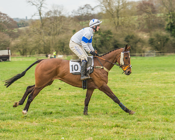 Race 6 - Restricted Race-10