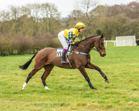 Race 6 - Restricted Race-11