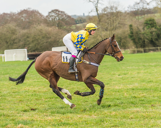 Race 6 - Restricted Race-12