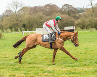 Race 6 - Restricted Race-15
