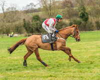 Race 6 - Restricted Race-17