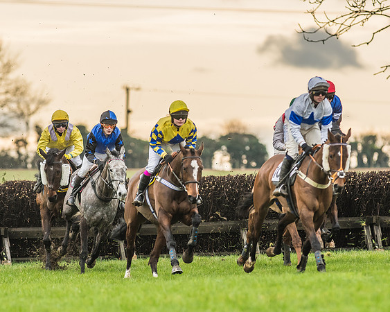Race 6 - Restricted Race-33