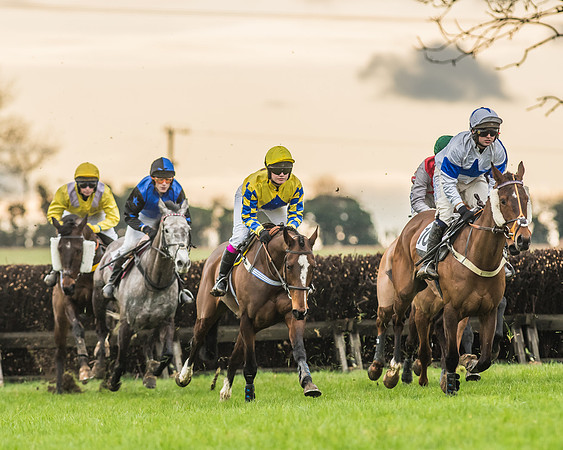 Race 6 - Restricted Race-34