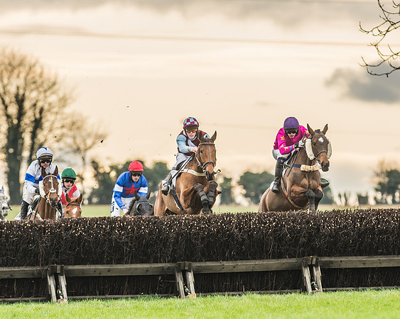 Race 6 - Restricted Race-27