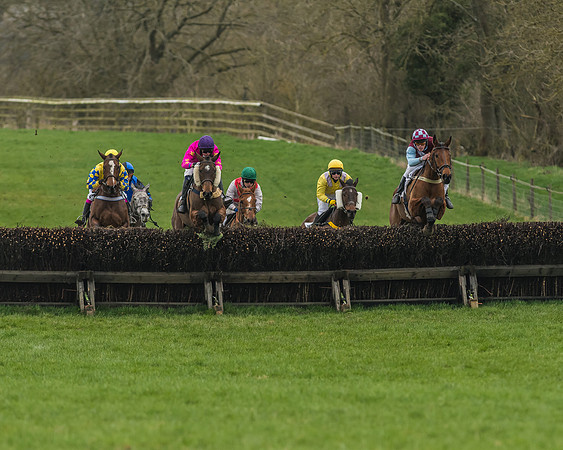 Race 6 - Restricted Race-36