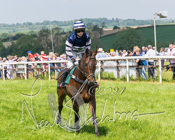 Race 2 - The Maiden  (120 of 442)
