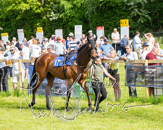 Race 5  - Maiden race 2m5F Div-1 (39 of 197)