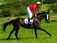 GR5_9530