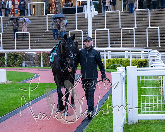 Race 7 - Glos Hussars (16 of 220)