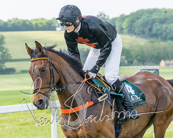Race 4 - PPORA Novice Riders Final  (117 of 362)