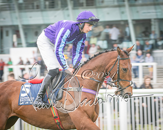 Race 1 - Pointing Pointers Restricted Final (31 of 79)