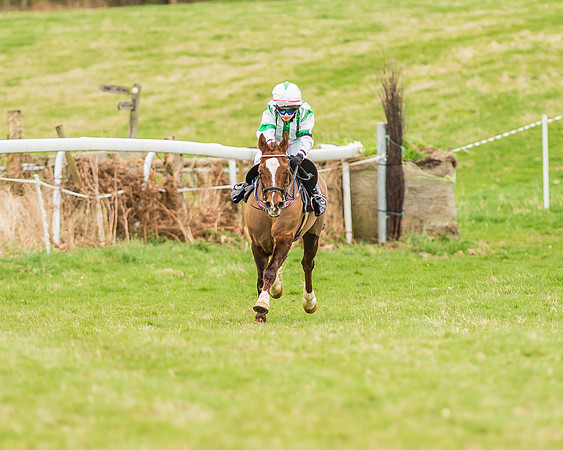 Longbourne Rose - Jack Dace-1