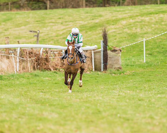 Longbourne Rose - Jack Dace-2