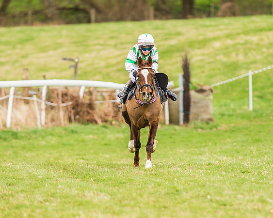 Longbourne Rose - Jack Dace-3