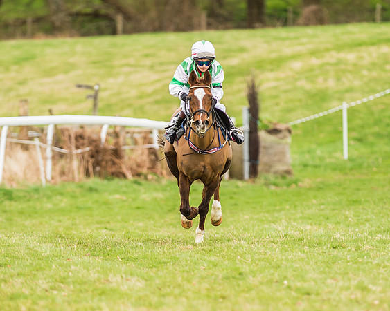 Longbourne Rose - Jack Dace-4