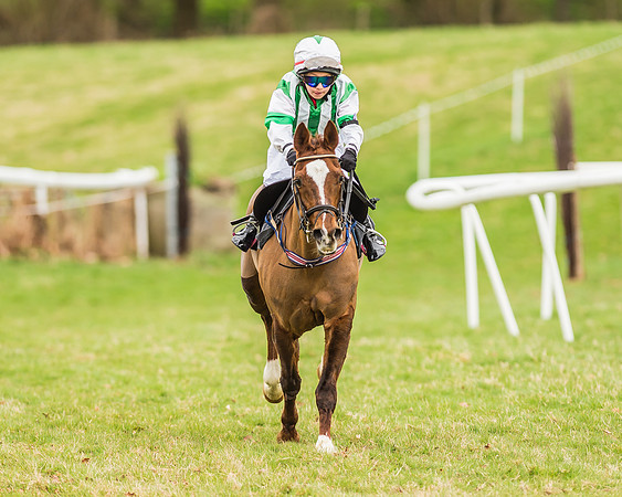 Longbourne Rose - Jack Dace-7