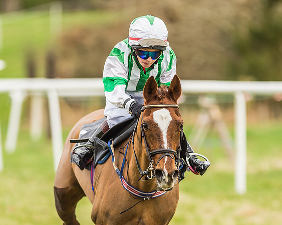 Longbourne Rose - Jack Dace-8