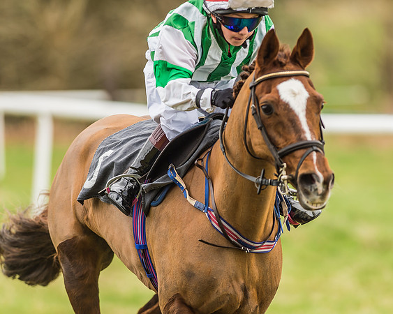 Longbourne Rose - Jack Dace-10