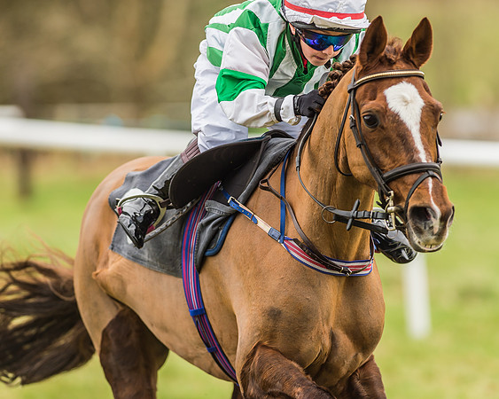 Longbourne Rose - Jack Dace-11