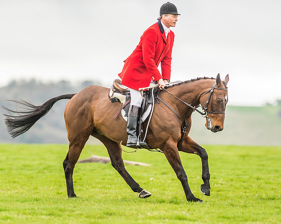 Pony Race 2 - SEHC members Div 2 -51