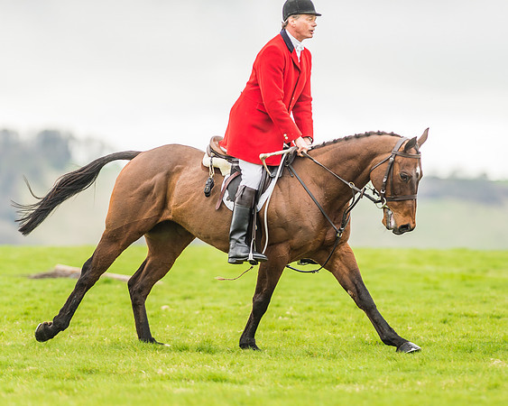 Pony Race 2 - SEHC members Div 2 -52