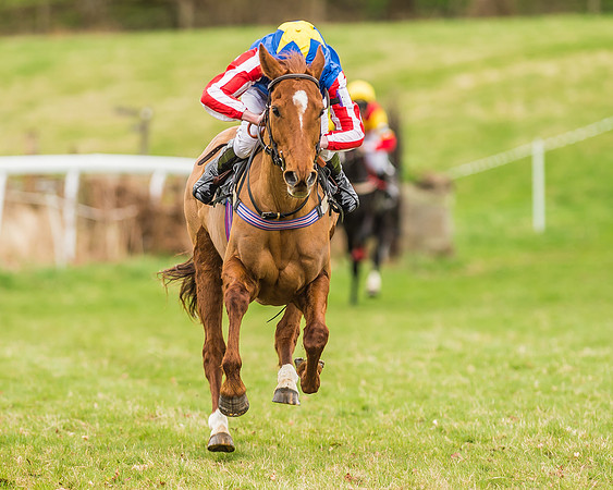 Two the Manor Born - Oscar Palmer-3