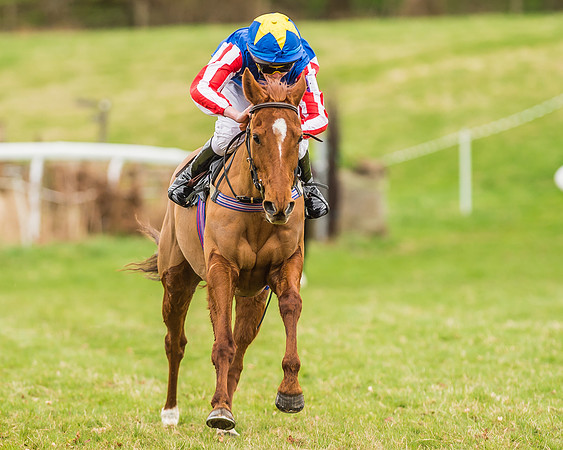 Two the Manor Born - Oscar Palmer-4