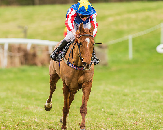 Two the Manor Born - Oscar Palmer-5