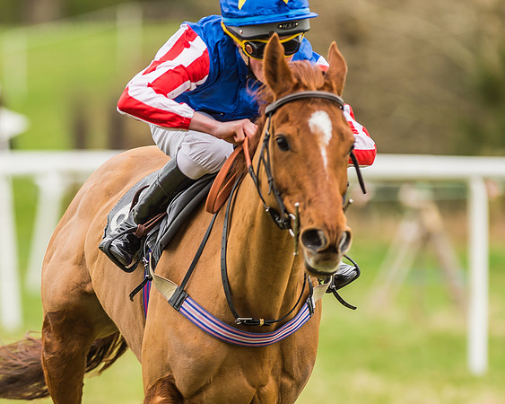 Two the Manor Born - Oscar Palmer-7