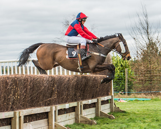 Race 4 - Novice and Vets-49